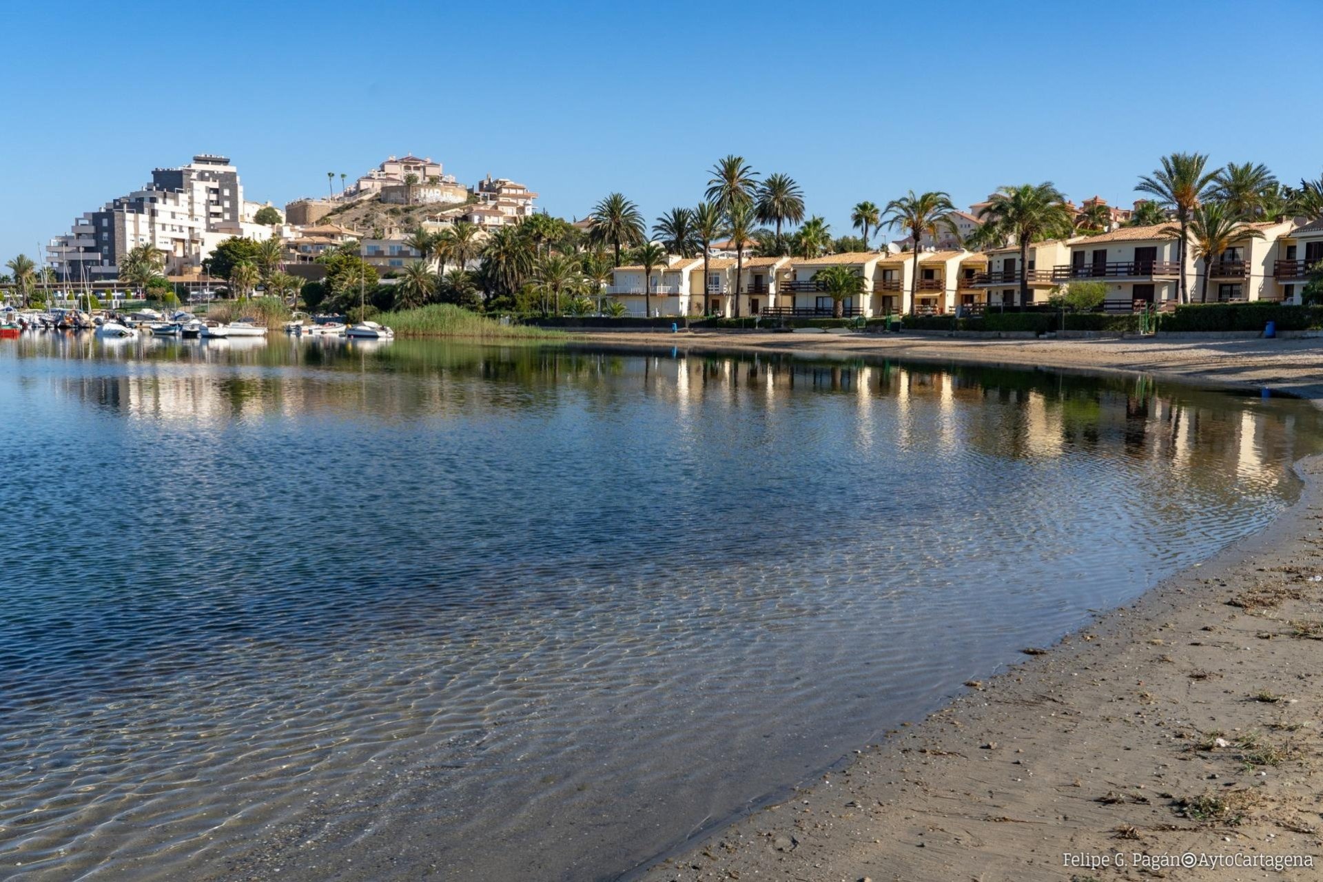 Nueva construcción - Bungalow - La Manga Club