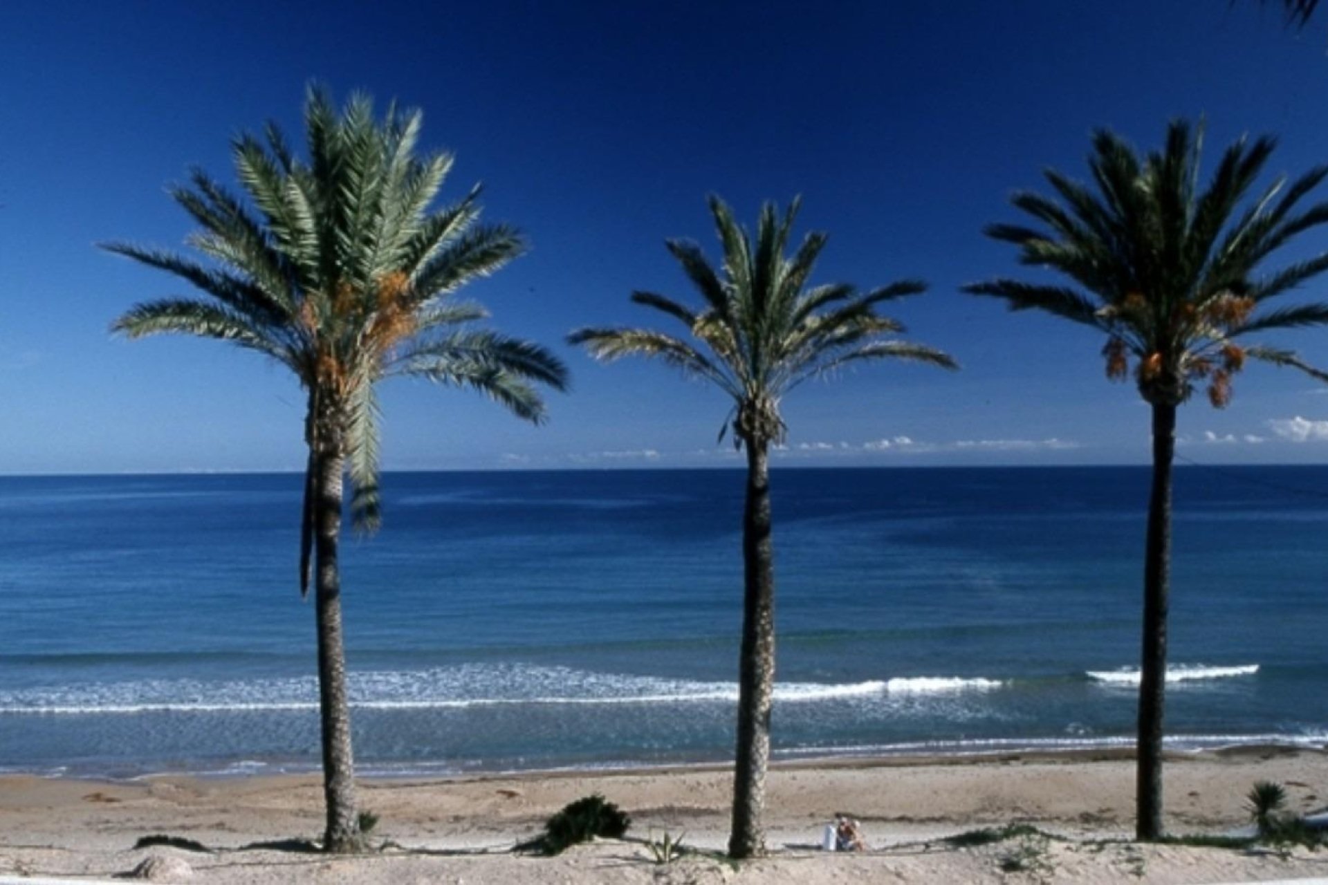 Nueva construcción - Bungalow - Pilar de La Horadada