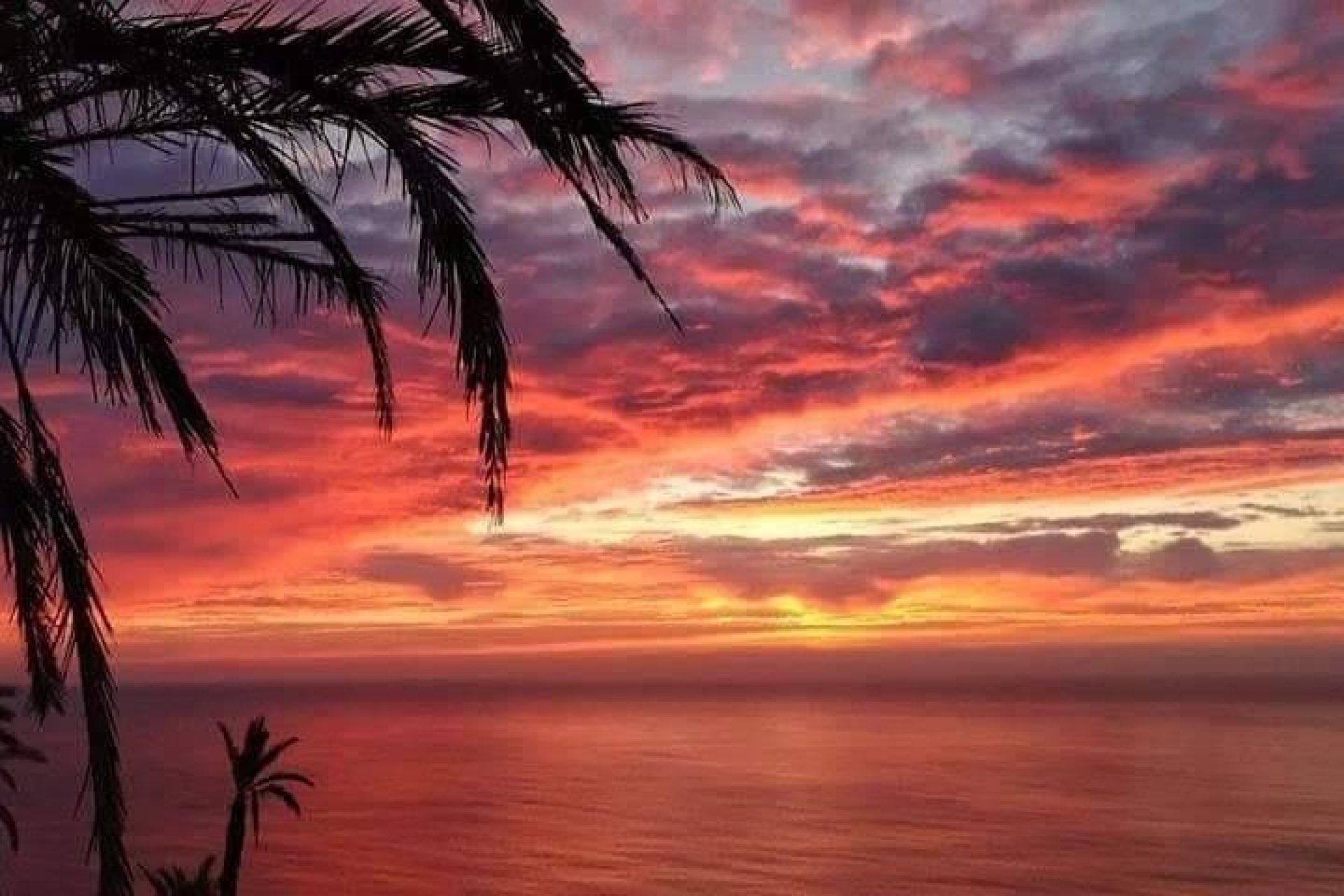 Nueva construcción - Bungalow - Torrevieja