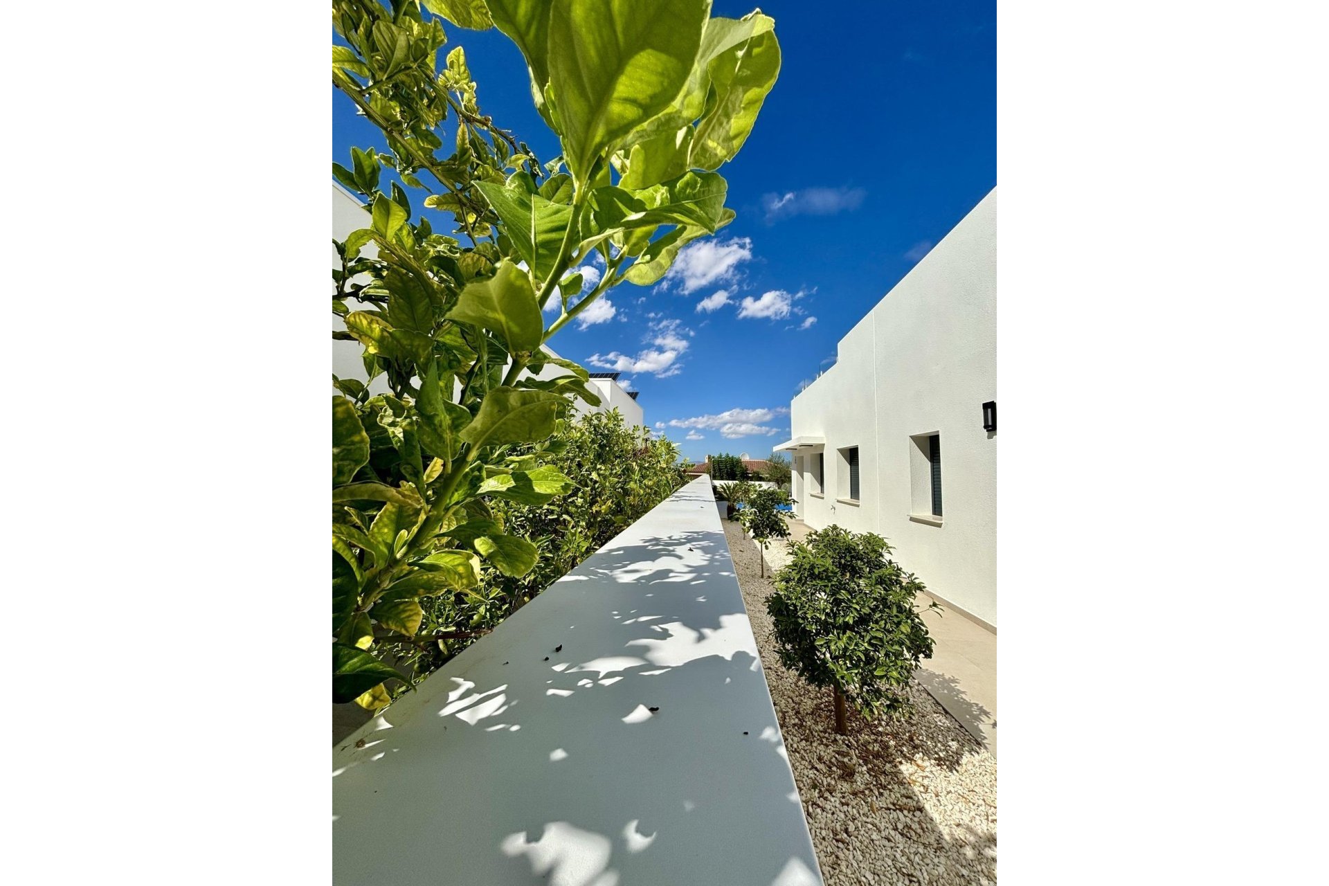 Nueva construcción - Chalet - Benijófar