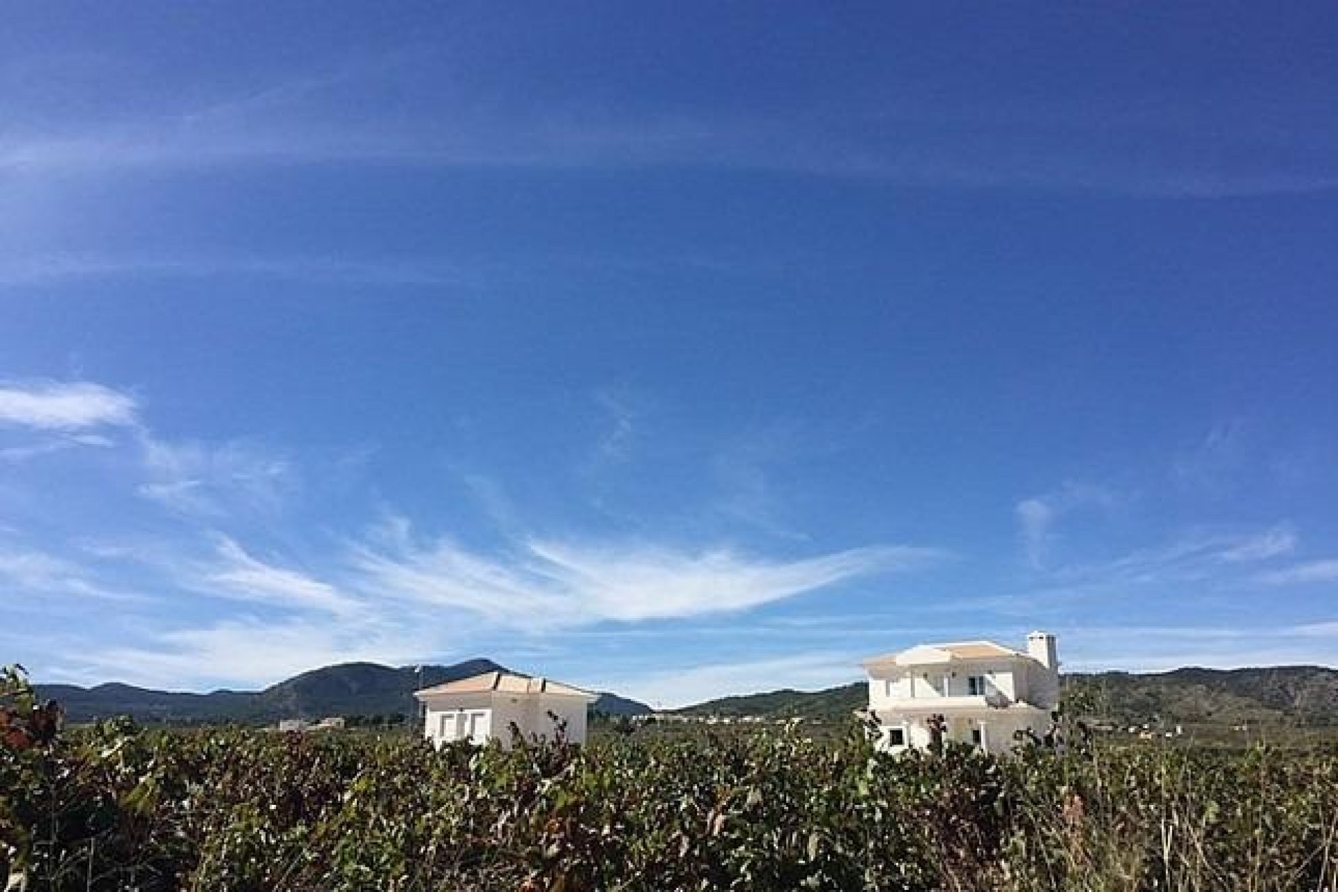Nueva construcción - Chalet - Pinoso