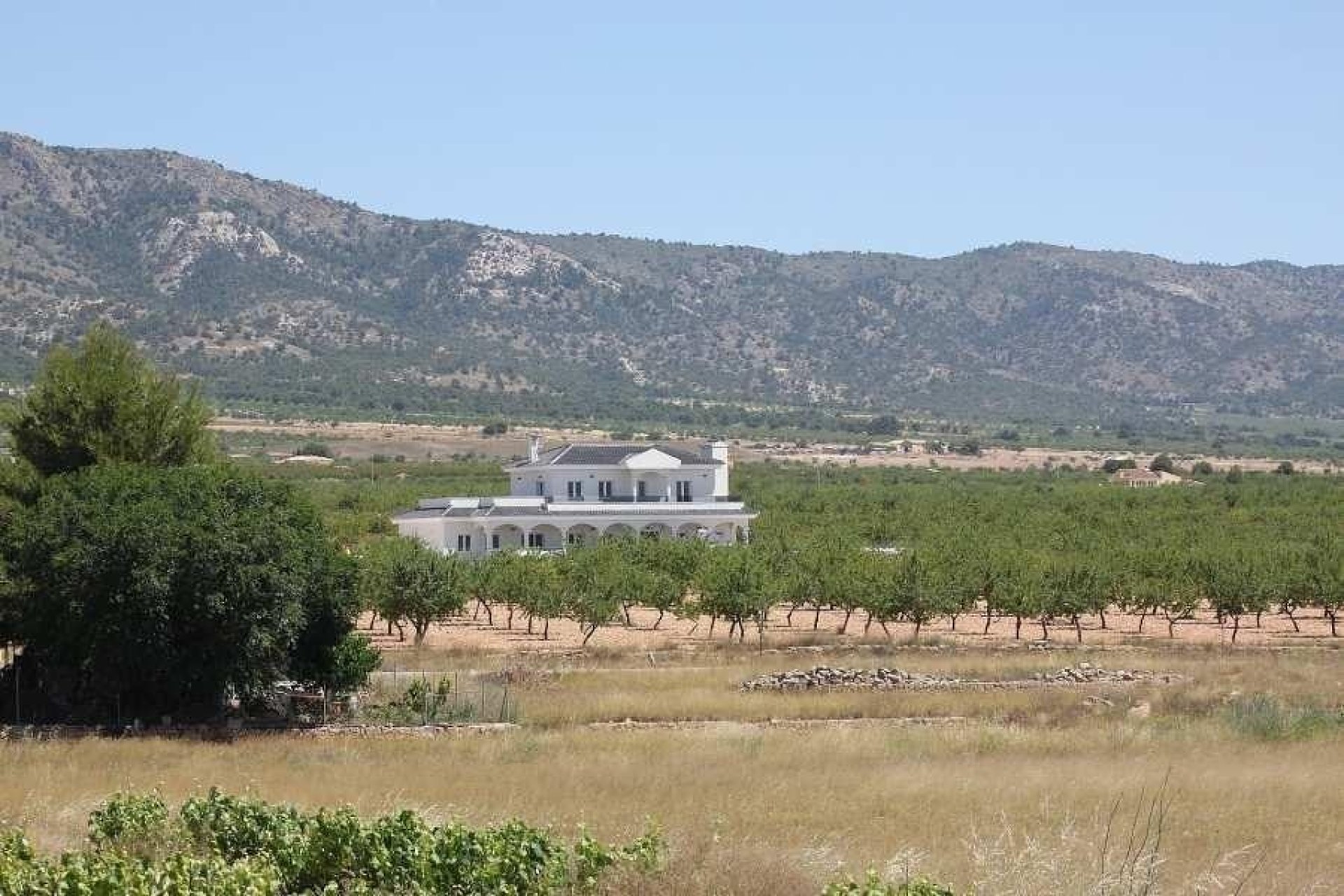 Nueva construcción - Chalet - Pinoso