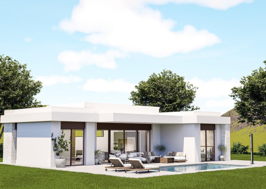 Nueva construcción - Chalet - Pinoso