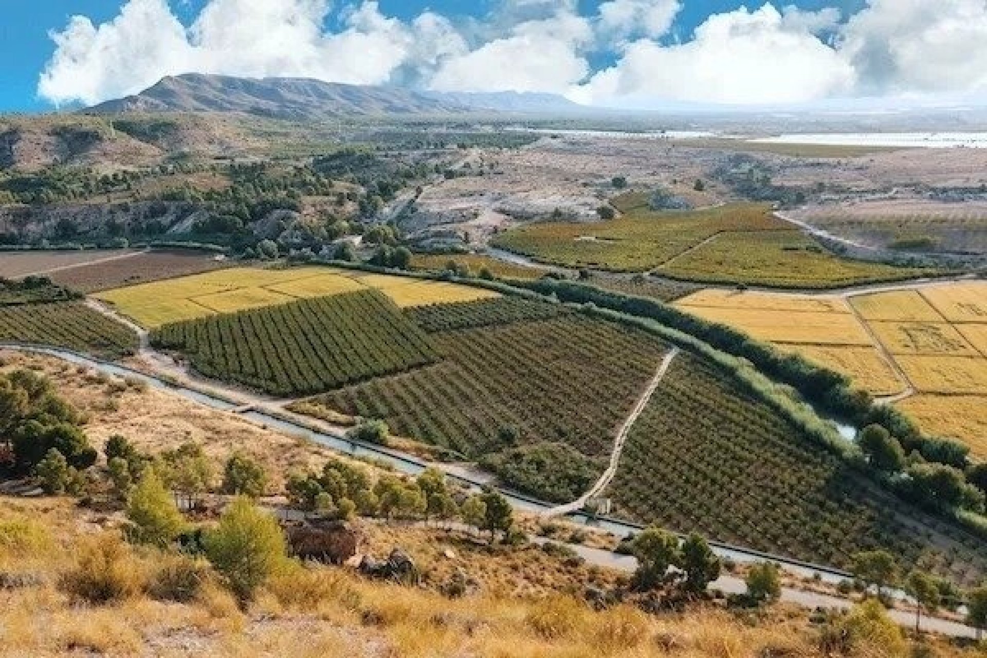 Nueva construcción - Villa - Calasparra