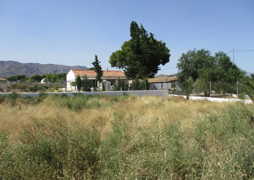 Sale - Villa - CREVILLENTE - Crevillente