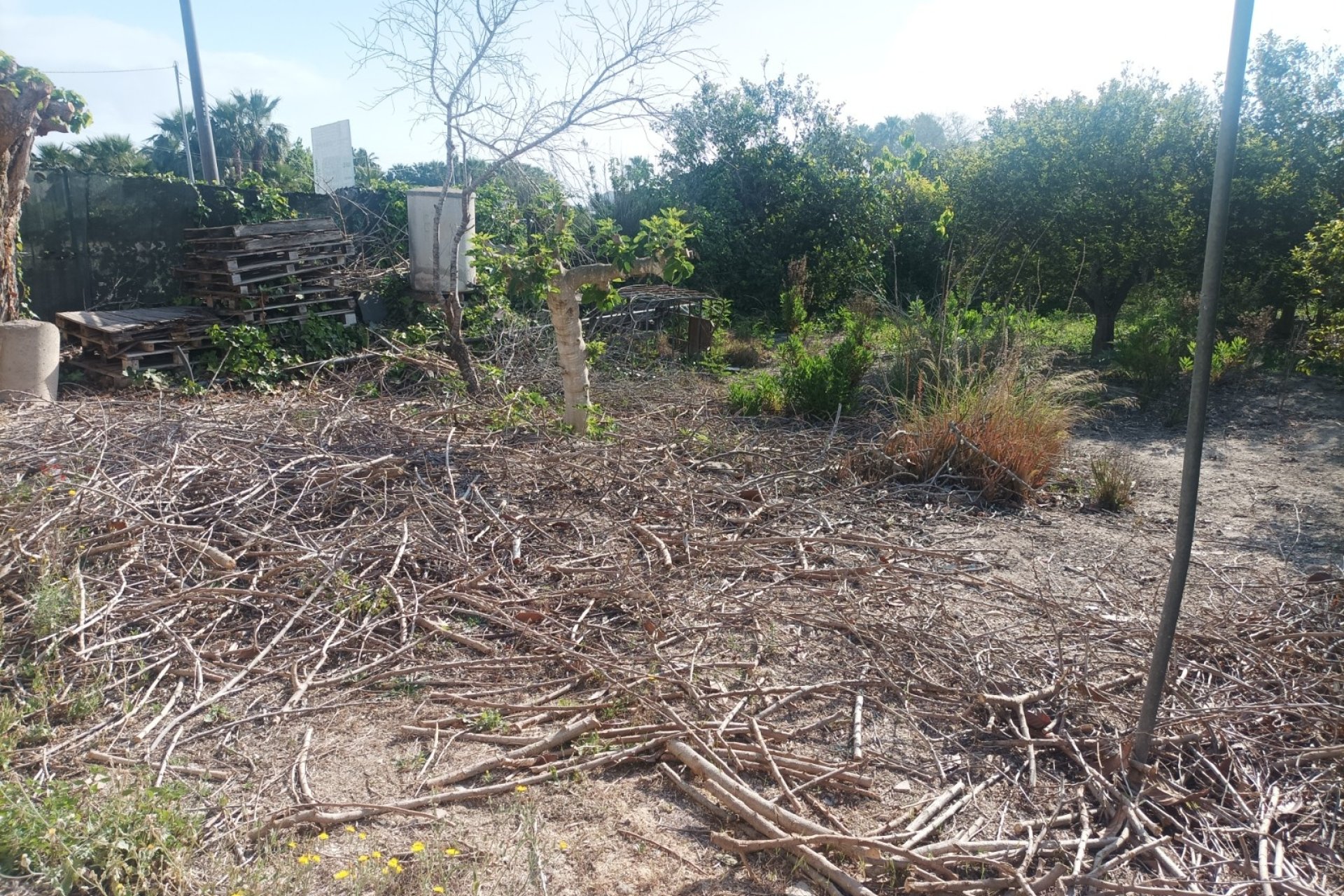 Venta - Casa  - Daya Nueva