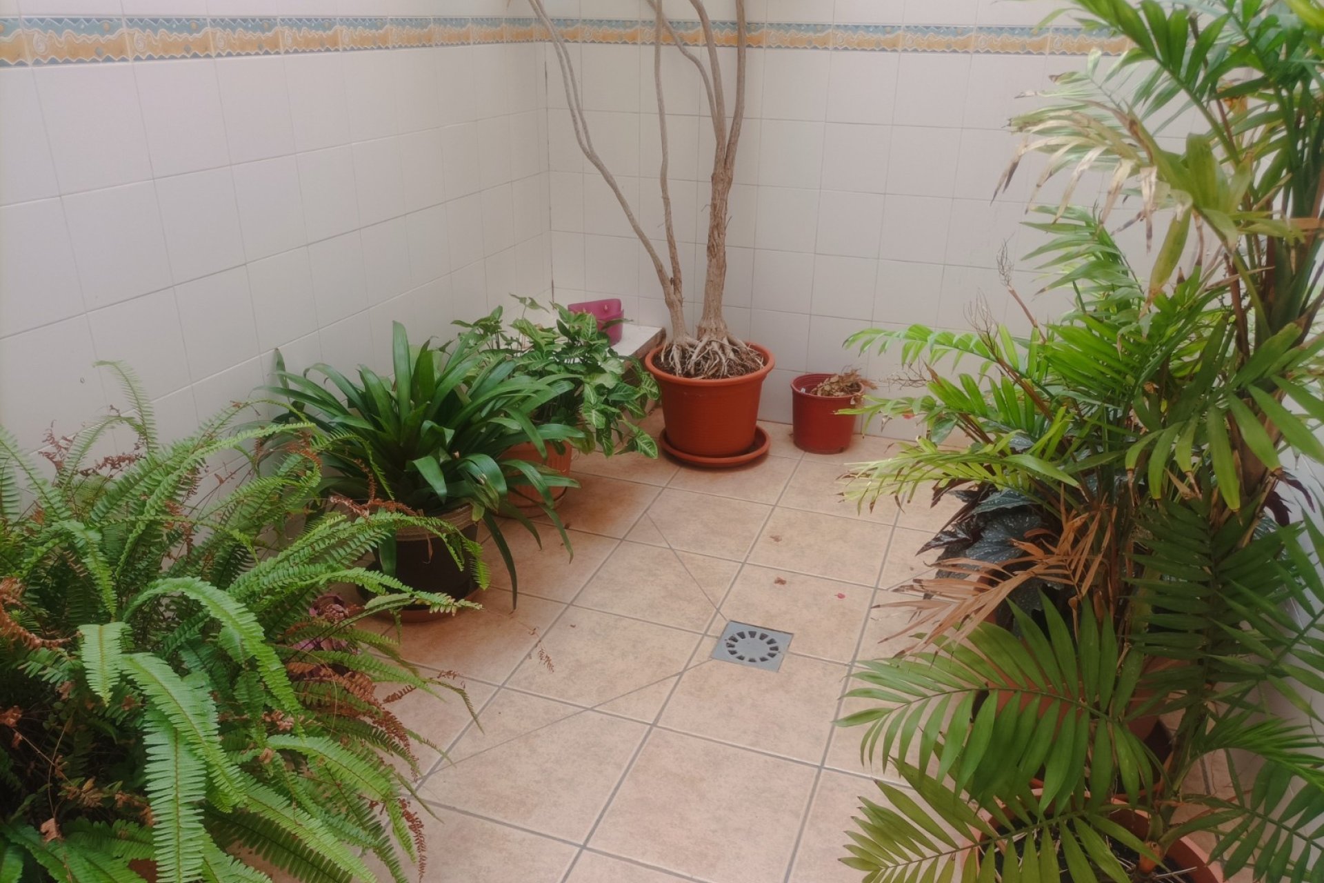 Venta - Casa  - Daya Nueva