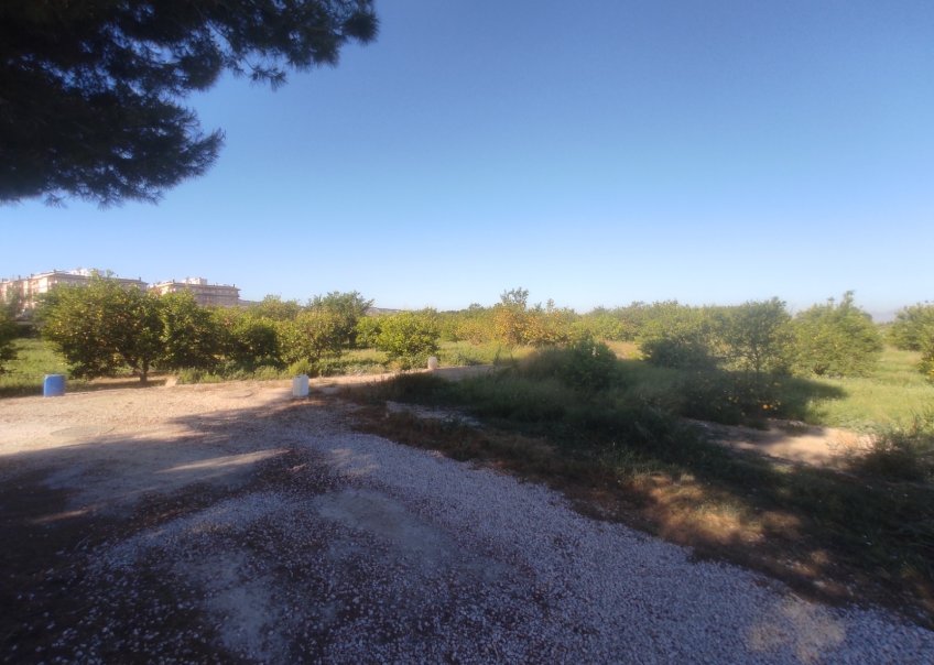 Venta - Chalet - Algorfa
