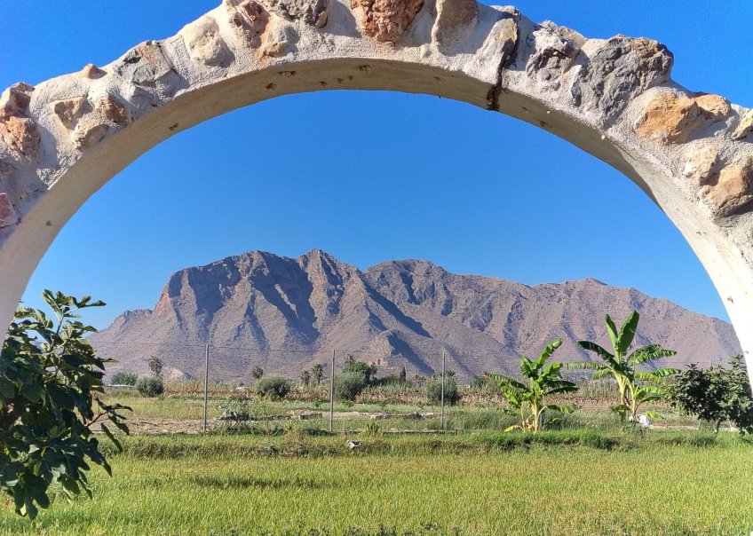 Venta - Chalet - Cox