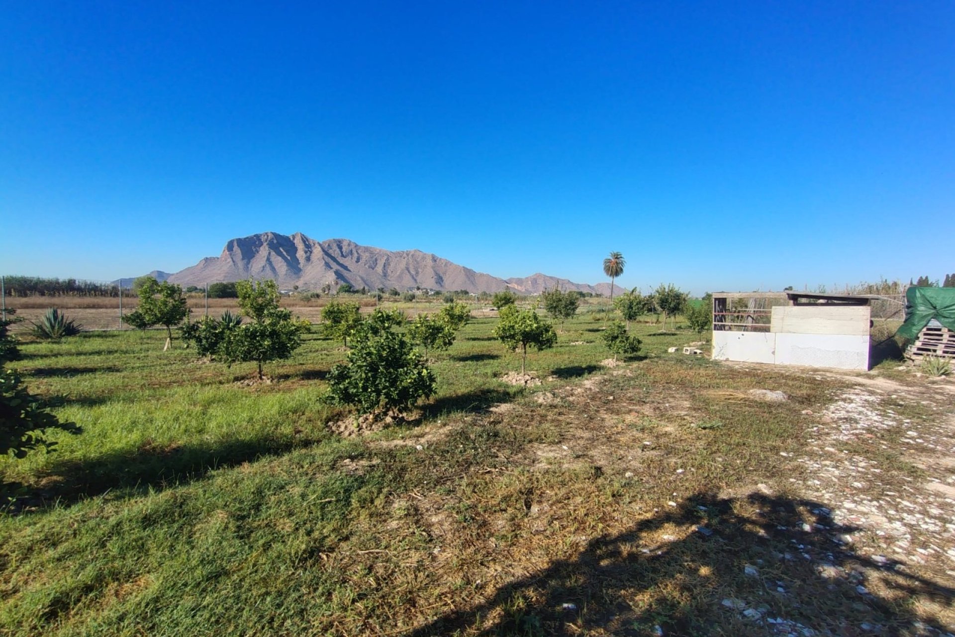 Venta - Chalet - Cox