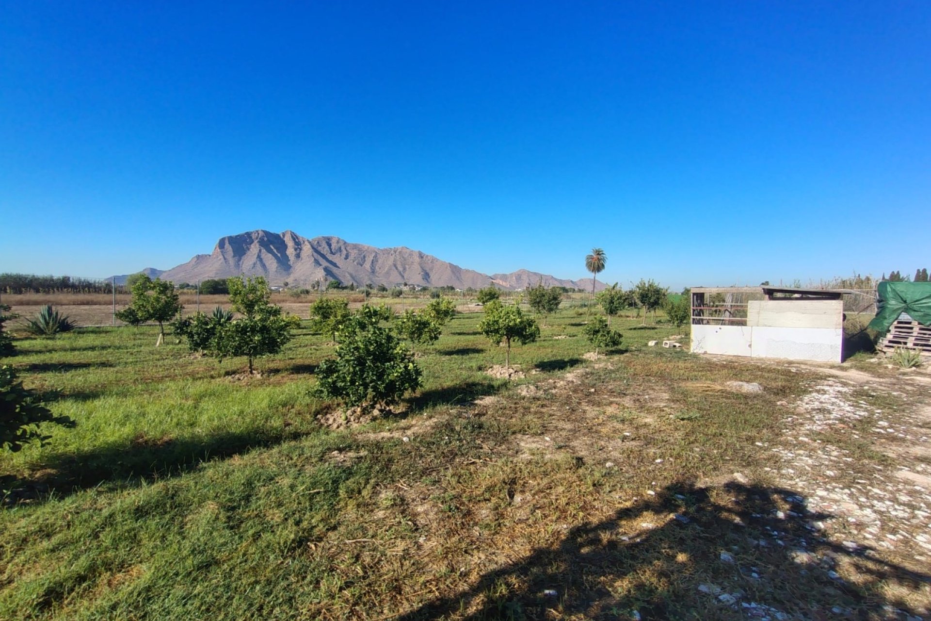 Venta - Chalet - Cox