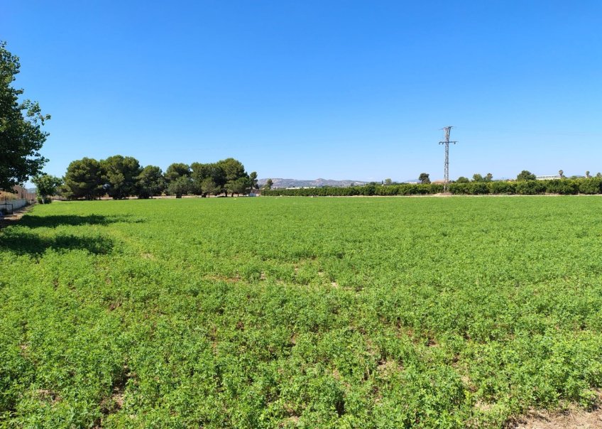 Venta - Chalet - Daya Nueva