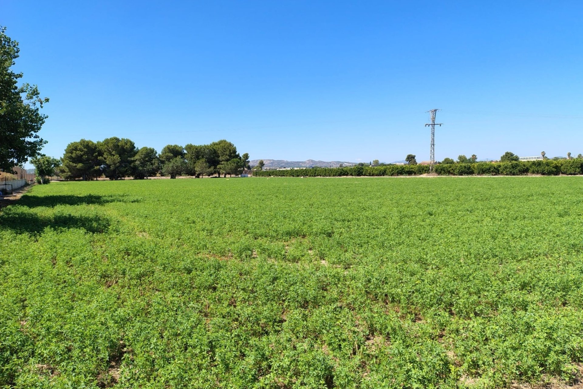 Venta - Chalet - Daya Nueva