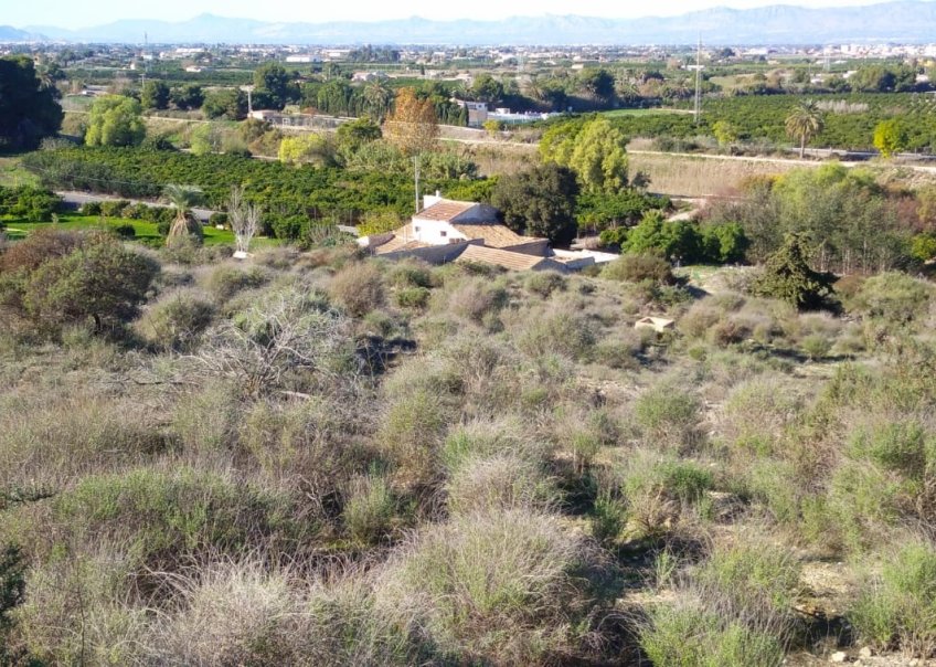 Venta - Chalet - Rojales - JUNTO CAMPO DE GOLF LA MARQUESA