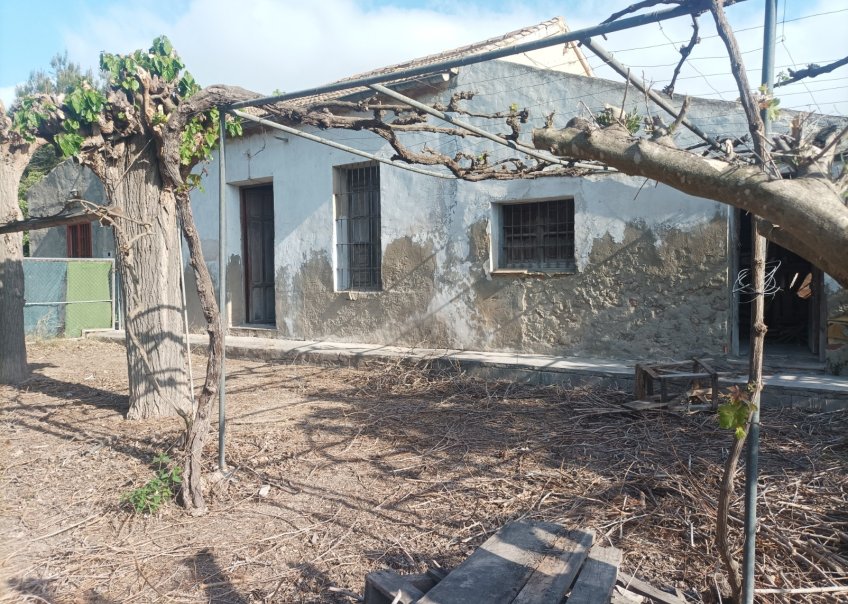 Vente - Maison - Daya Nueva