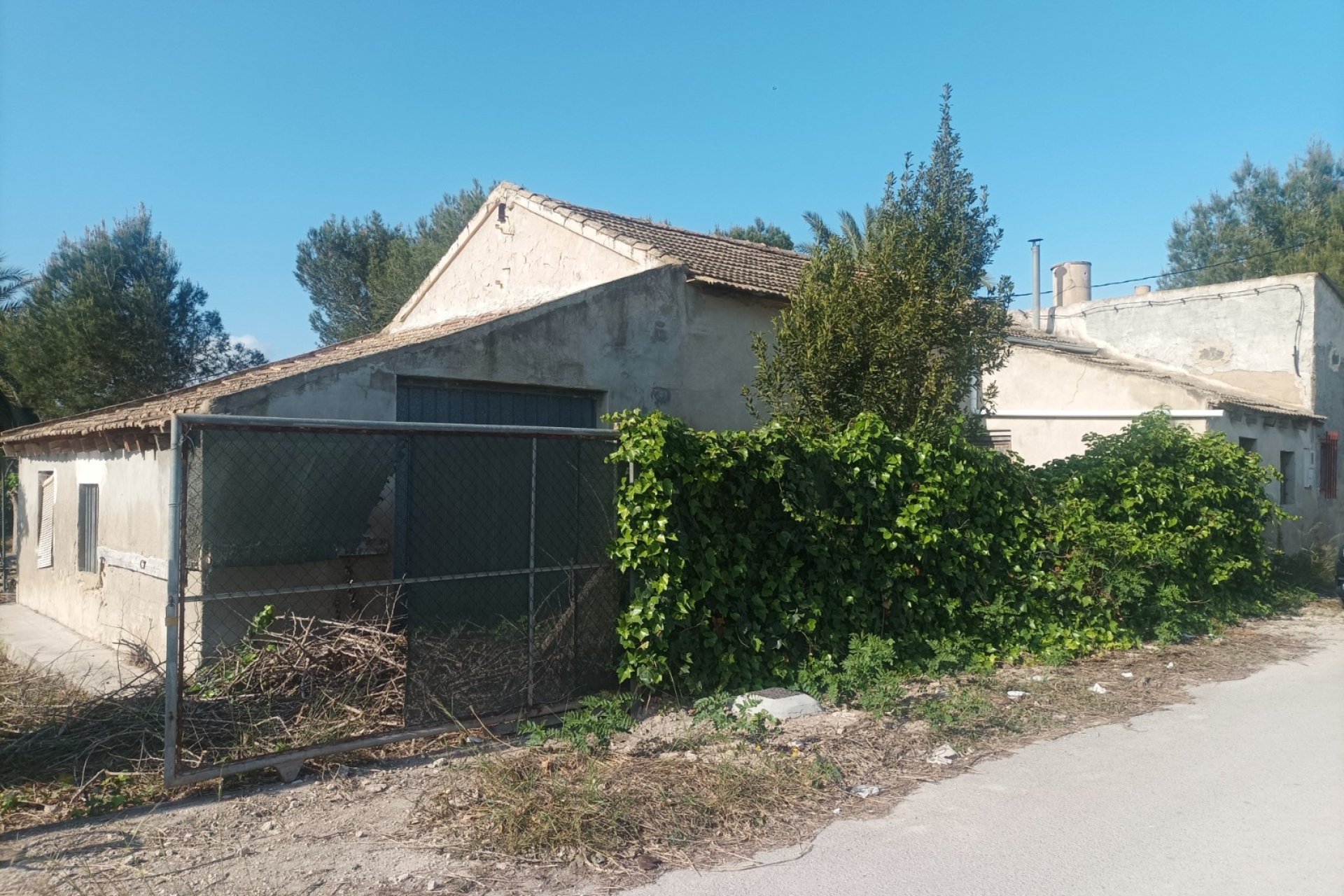 Vente - Maison - Daya Nueva