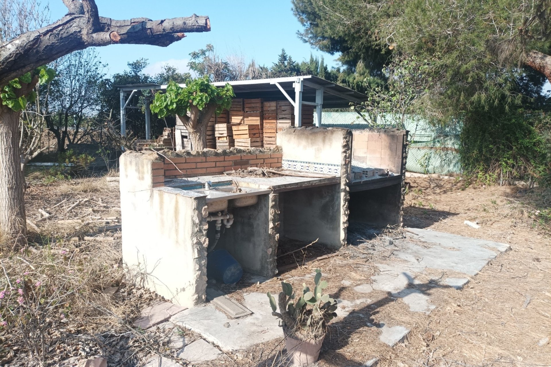 Vente - Maison - Daya Nueva