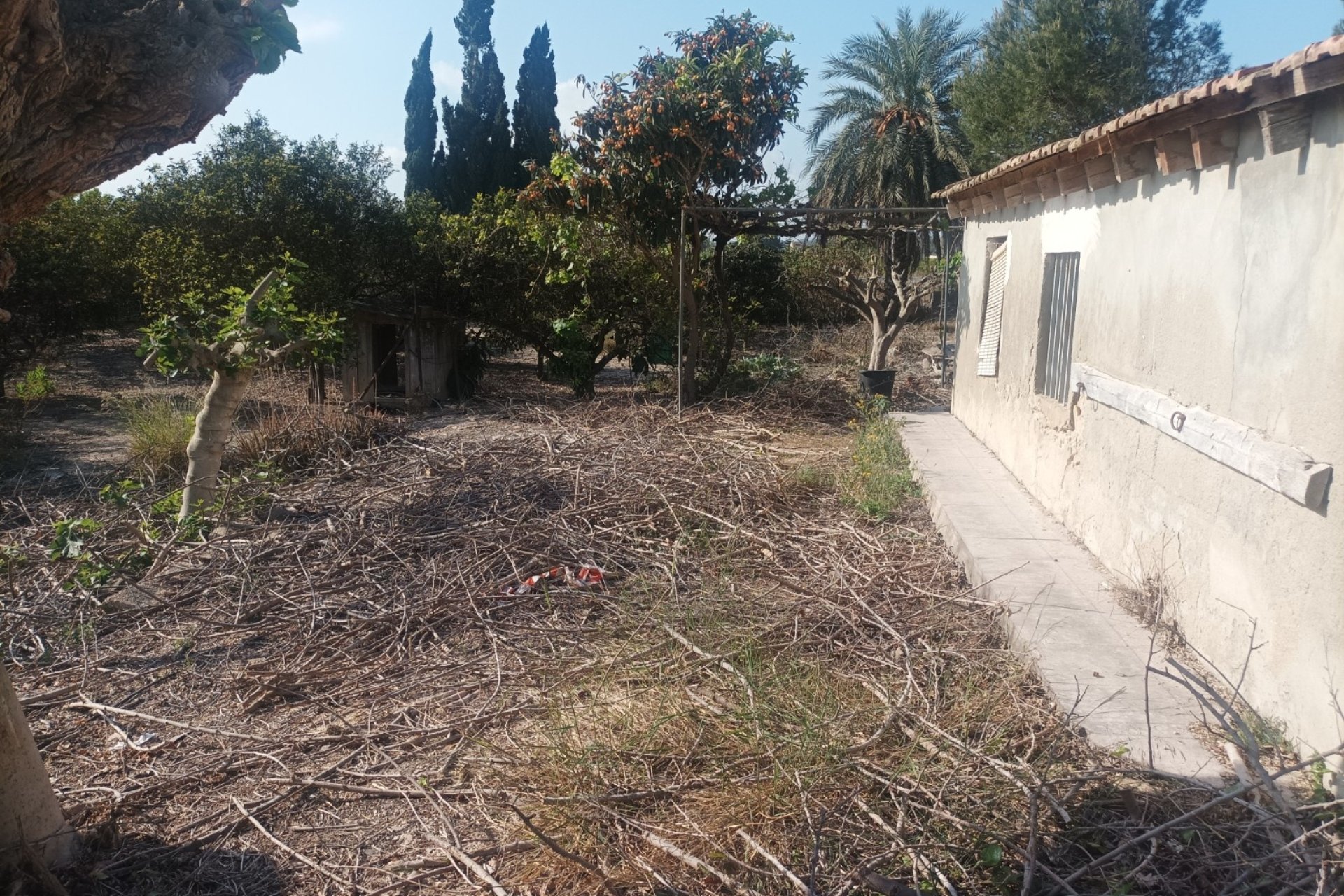 Vente - Maison - Daya Nueva