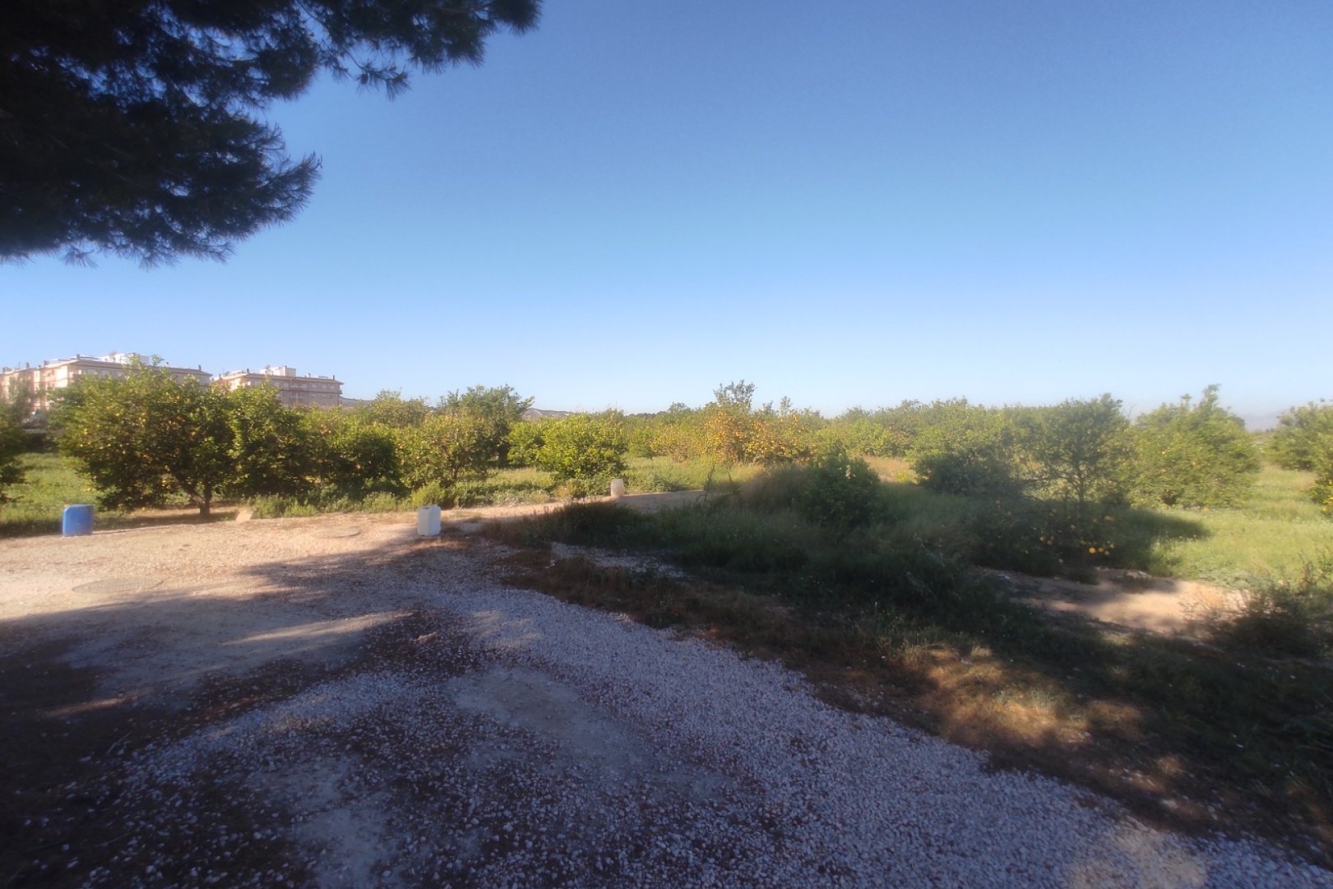 Vente - Villa  - Algorfa