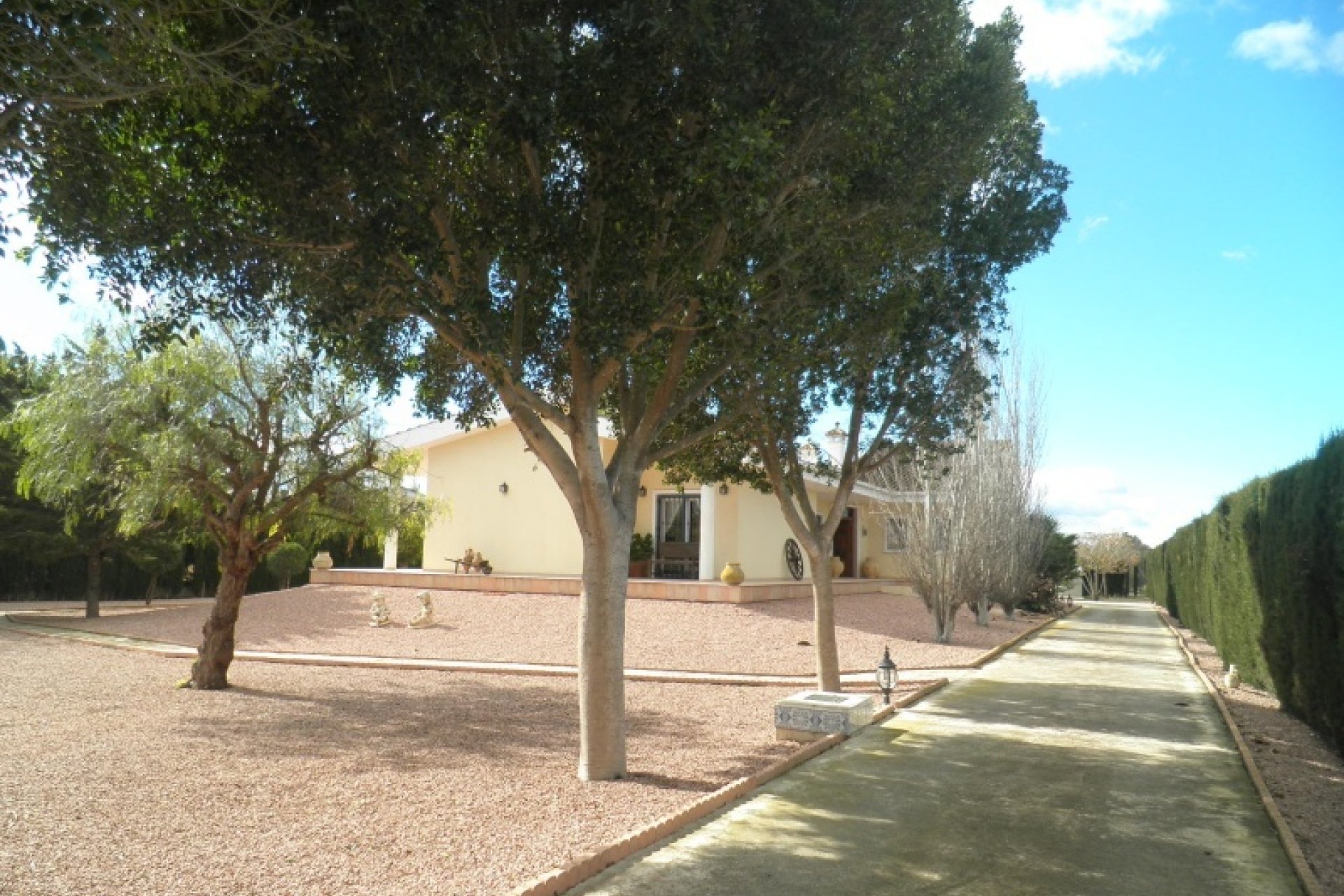 Vente - Villa  - Almoradi - Campagne