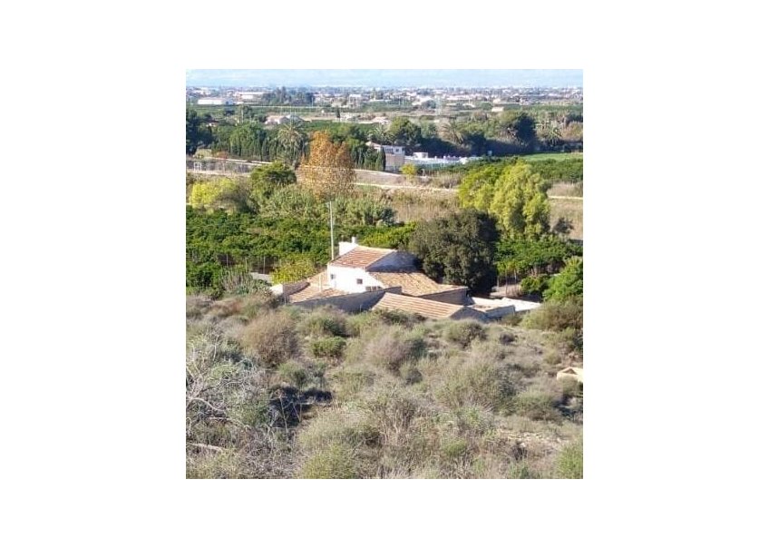 Vente - Villa  - Rojales - JUNTO CAMPO DE GOLF LA MARQUESA