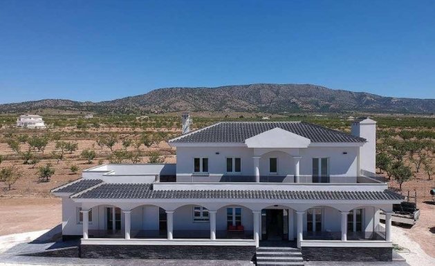 Villa  - Neuf - Pinoso -
                Pinoso