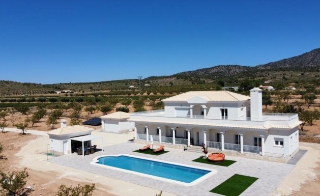 Villa  - Neuf - Pinoso -
                Pinoso