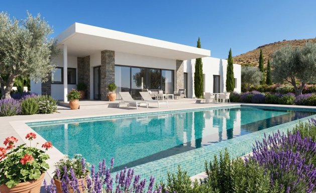 Villa - New Build - Pinoso -
                Pinoso