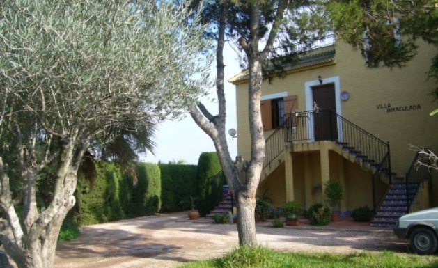 Villa  - Vente - Daya Nueva -
                Daya Nueva