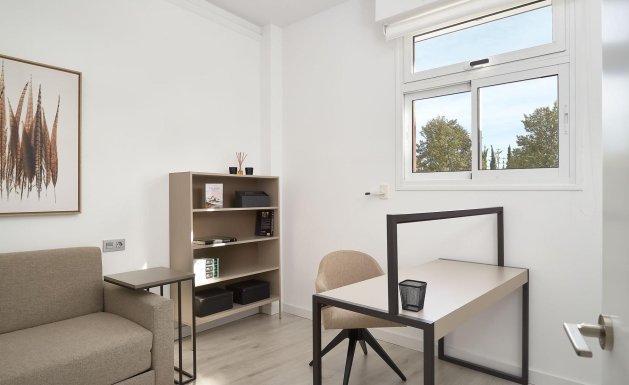 Neuf - Appartement - Vera