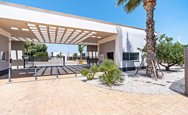 Neuf - Appartement - Vera