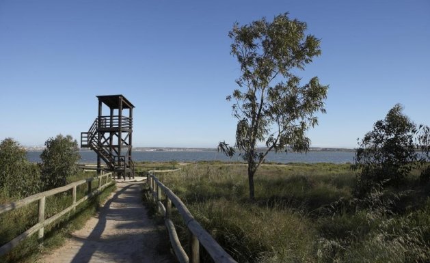 Neuf - Villa Adossée - Torrevieja
