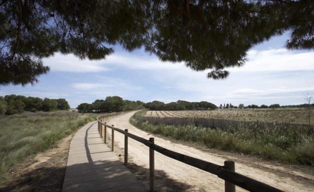 Neuf - Villa Adossée - Torrevieja