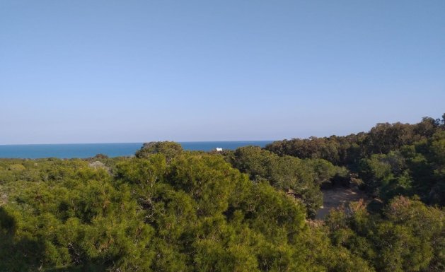 New Build - Apartment - Guardamar del Segura