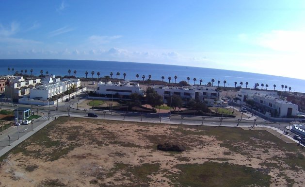 Neuf - penthouse - Pilar de La Horadada