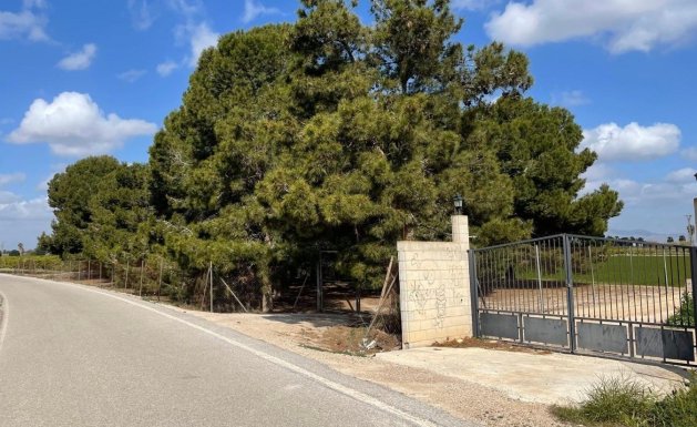 Venta - Chalet - Daya Nueva