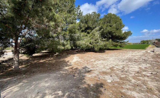 Venta - Chalet - Daya Nueva