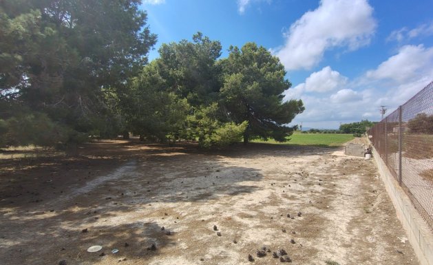 Venta - Chalet - Daya Nueva