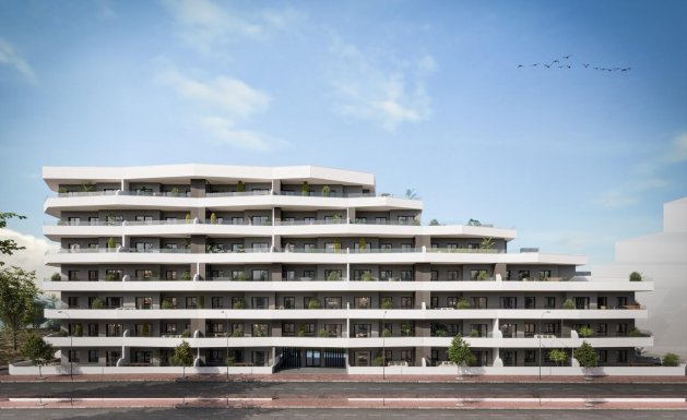 Neuf - Appartement - San Miguel de Salinas