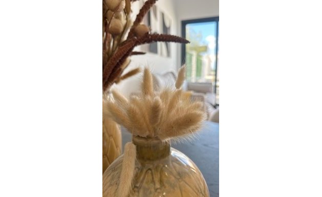 Neuf - Ground Floor Bungalow - San Fulgencio