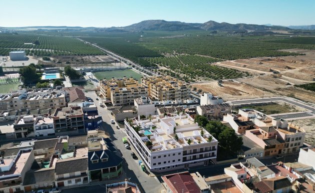 Neuf - Ground floor apartment - Algorfa