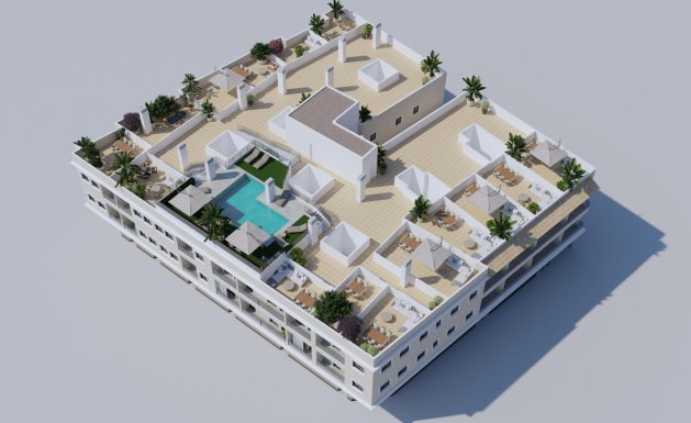 Neuf - Ground floor apartment - Algorfa