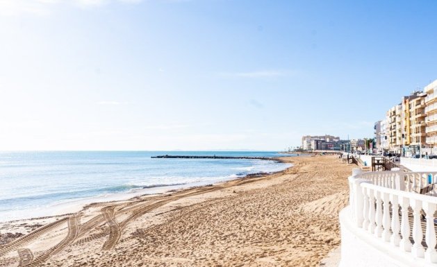Nueva construcción - Bungalow - Torrevieja