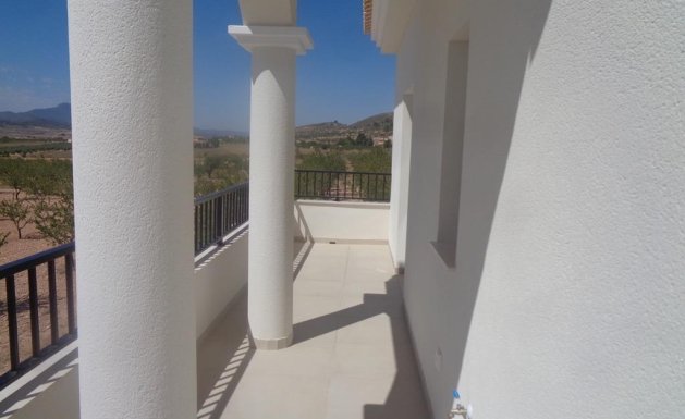 Neuf - Villa  - Pinoso