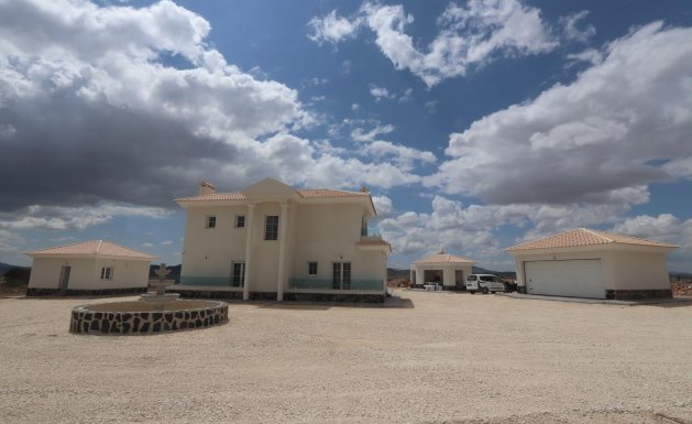 Nueva construcción - Villa - Pinoso
