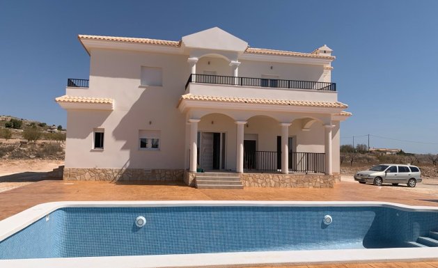 Nueva construcción - Villa - Pinoso