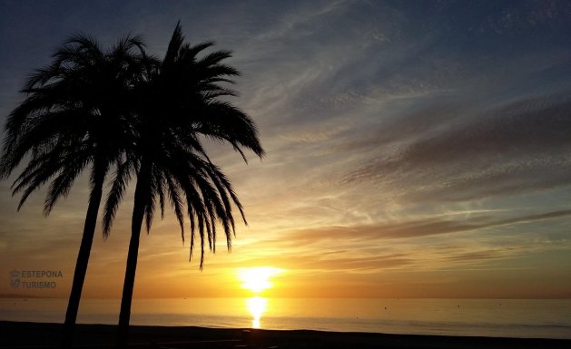 Neuf - Appartement - Estepona