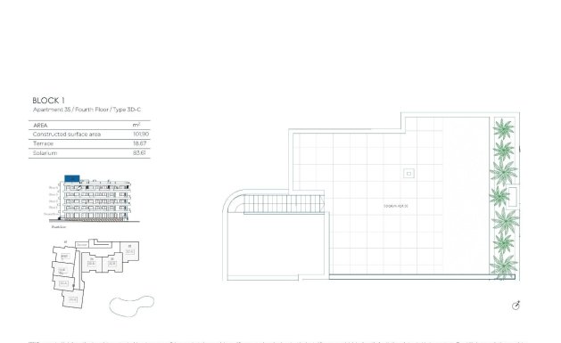 New Build - Apartment - Baños y Mendigo