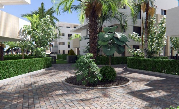 New Build - Apartment - Torre Pacheco