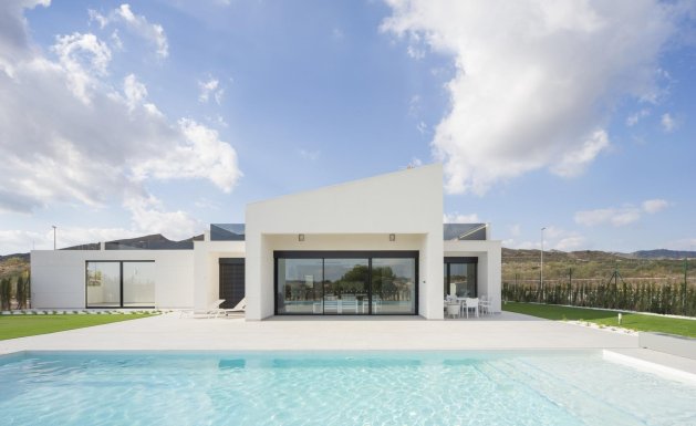 New Build - Villa - Baños y Mendigo